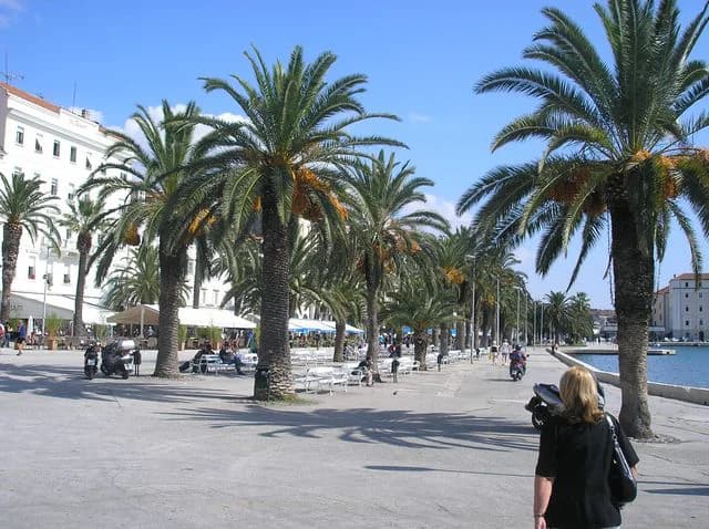 Split Nightlife Guide: Best Bars and Clubs 2026