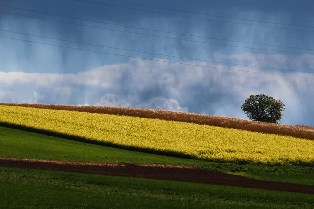 Alsace Travel Guide: Strasbourg and Colmar