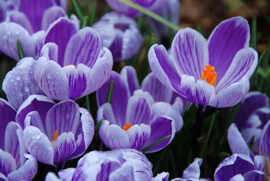 Greece Travel Guide 2026: Cities, Tips & Top Things to Do