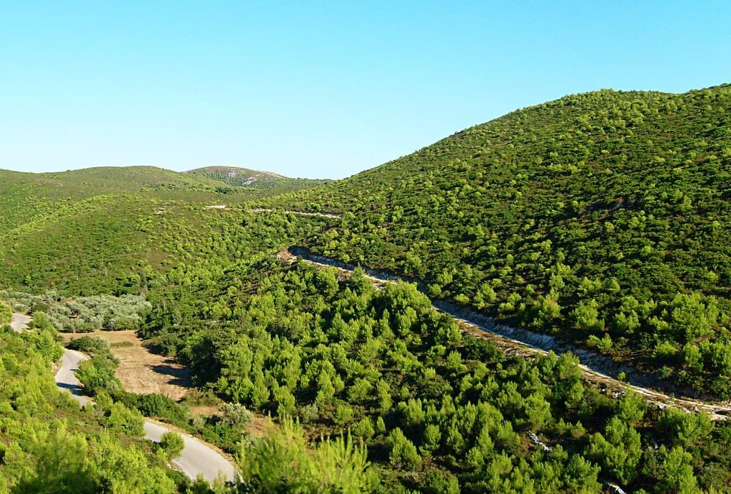 Zakynthos Old Town Guide: Best Things to Do in Zante in 2026