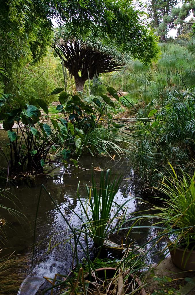 Is Palermo Safe for Tourists? 2026 Safety Guide & Tips