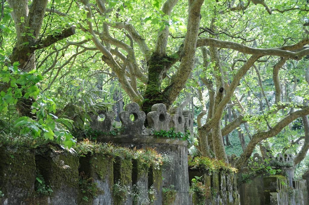 Portuguese Coast Travel Guide: Lisbon to Algarve