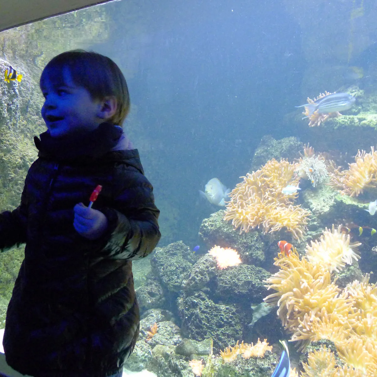 Finding the Vlaeykensgang Secret Alley in Antwerp