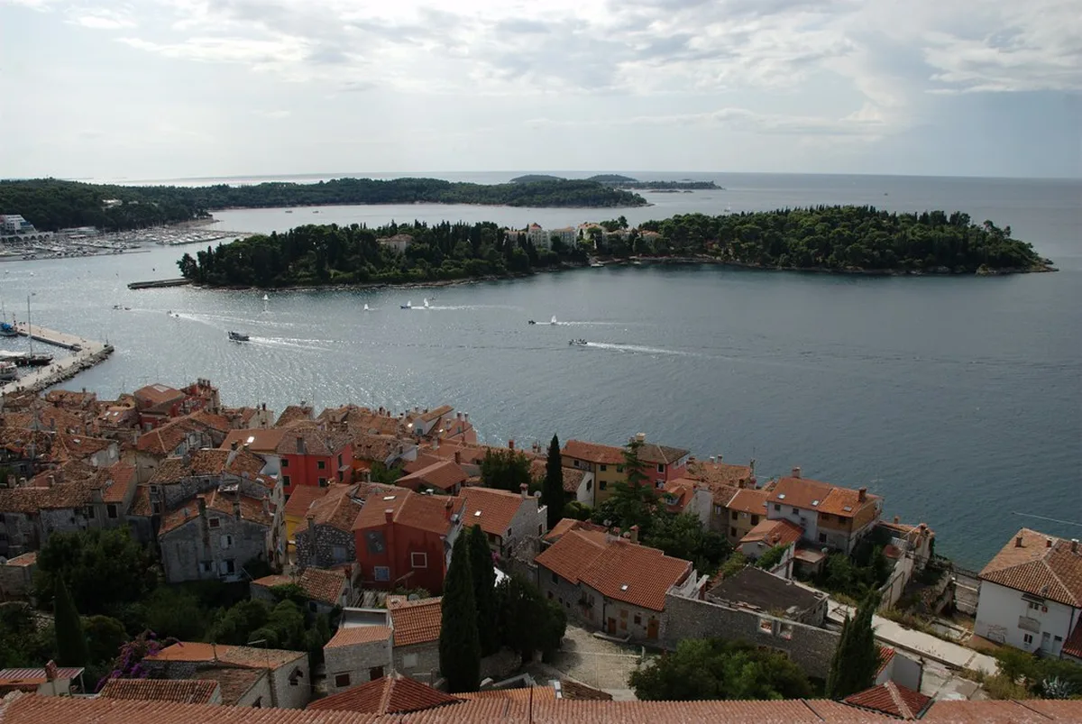 Island Hopping in Brijuni National Park in Rovinj