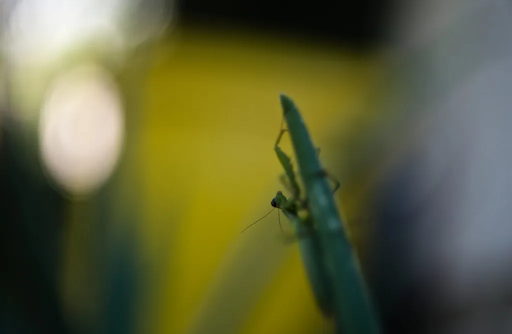 Is Dubrovnik Beach Life Expensive? in Croatia