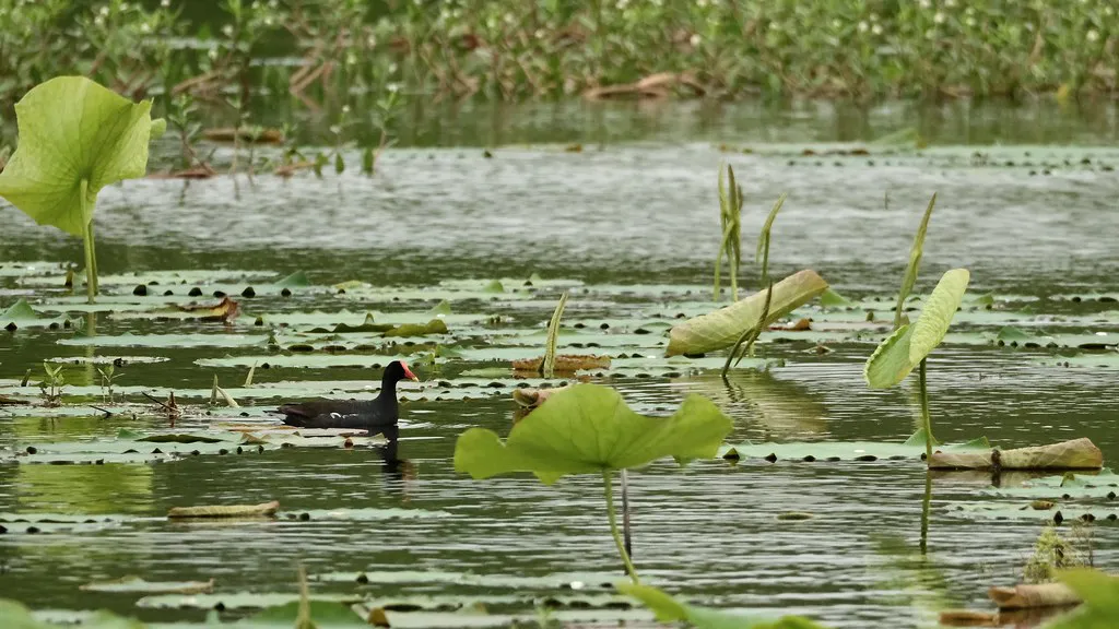 What to Skip: Overrated Beach Experiences in Croatia