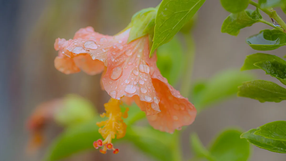 Day 3 Klis Fortress, Trogir, or an Island Day Trip in Split