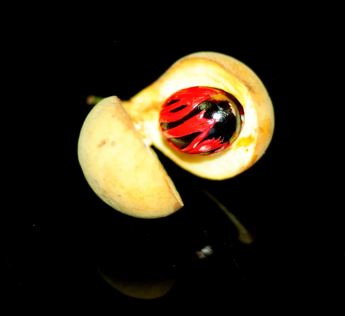 Essential Logistics for Your Split 3-Day Itinerary in Split