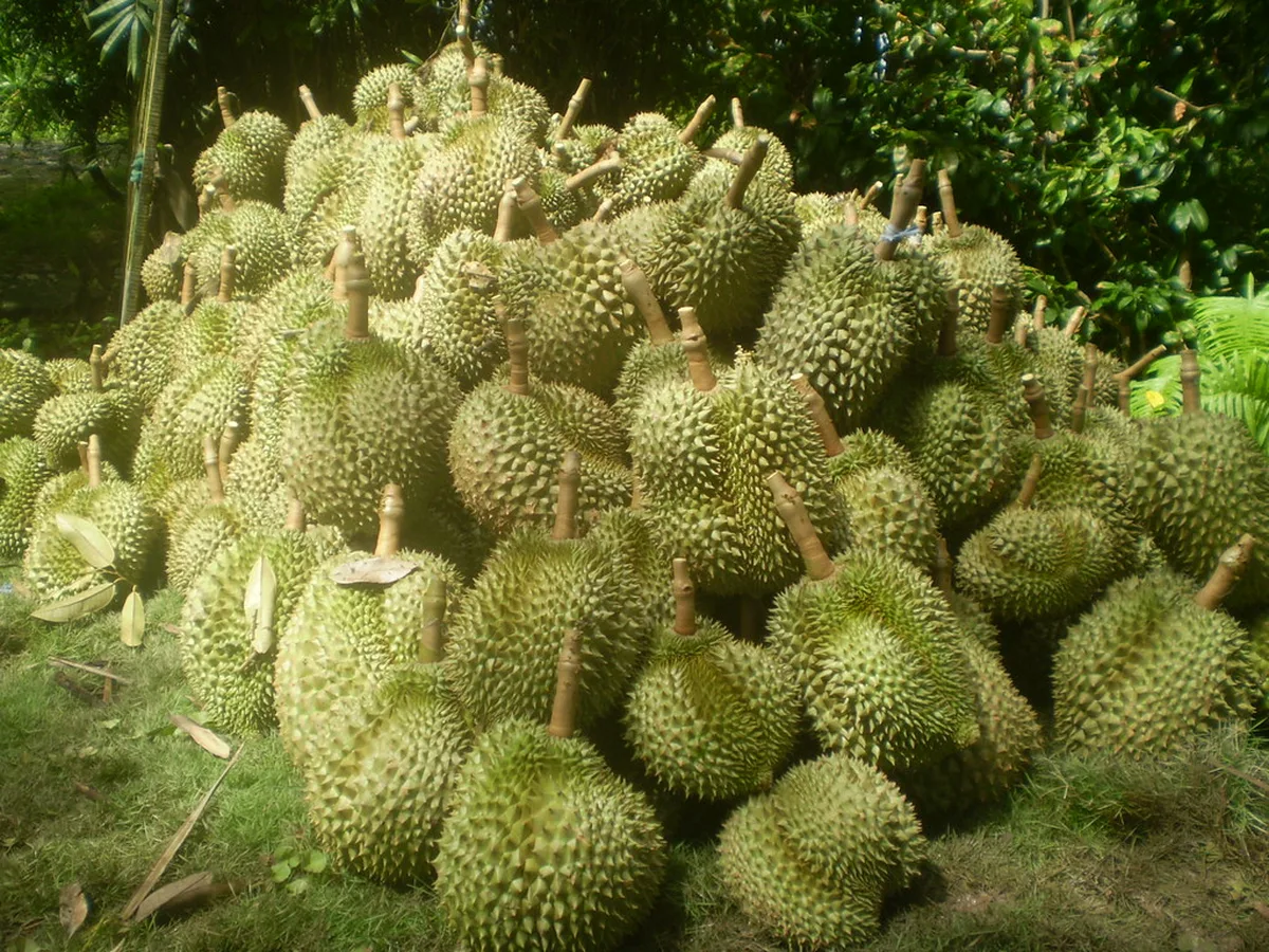 Bačvice Beach Clubs Dance Floors by the Sea in Split