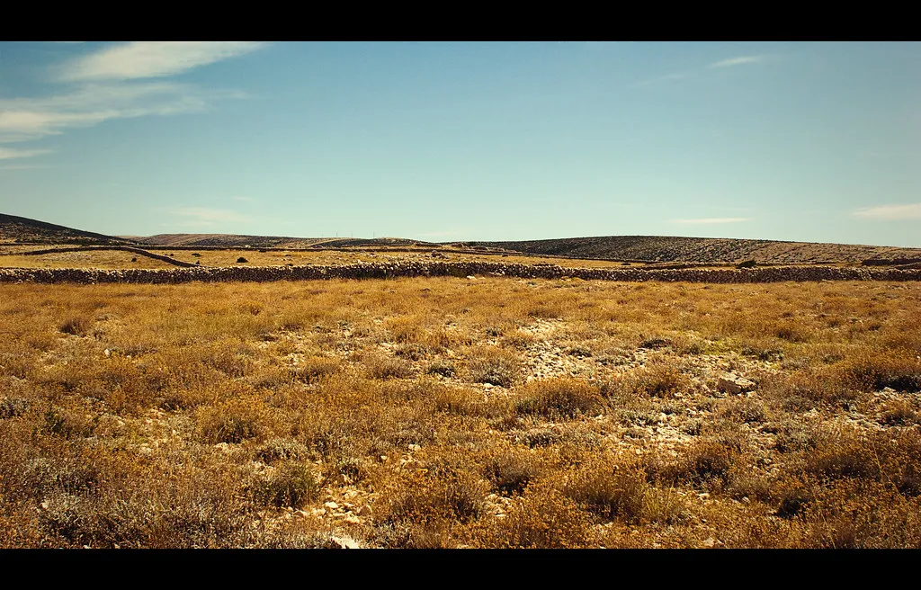 Is Zadar Better for Nightlife than Split or Pag? in Croatia