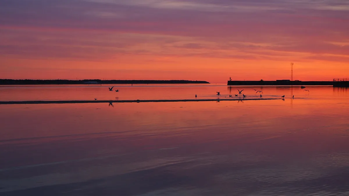 Exploring the Heart of the Lower Town in Tallinn