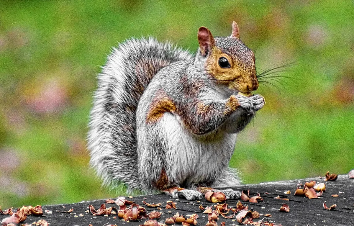 Essential Balkan Travel Logistics and Costs in europe