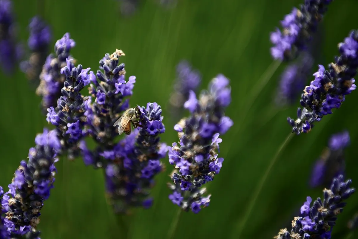 Top Mediterranean Gems for Sun and Culture in europe