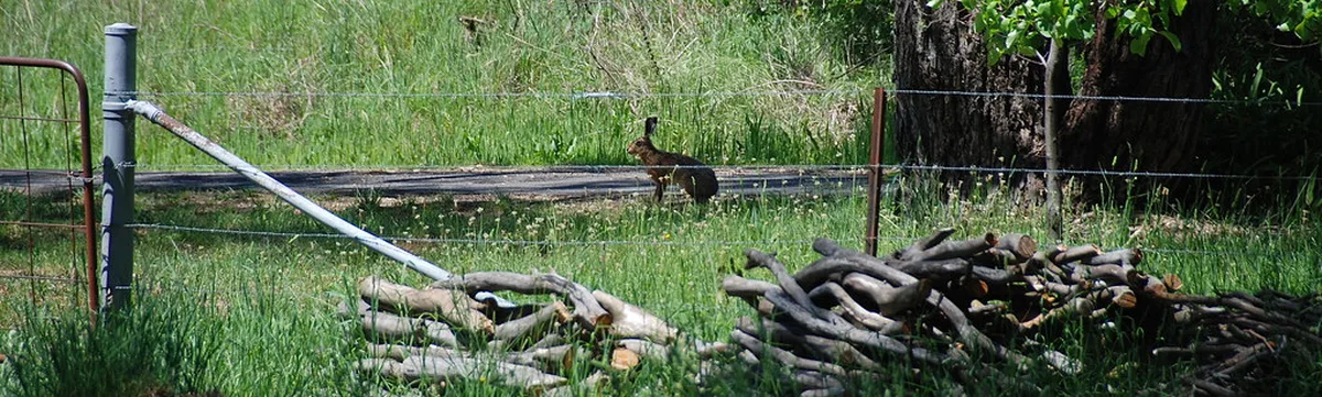 Affordable Capitals in the Balkan Region in europe