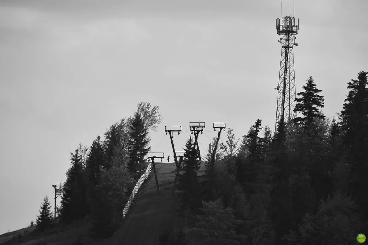 Choosing Between Road and Rail Travel in europe