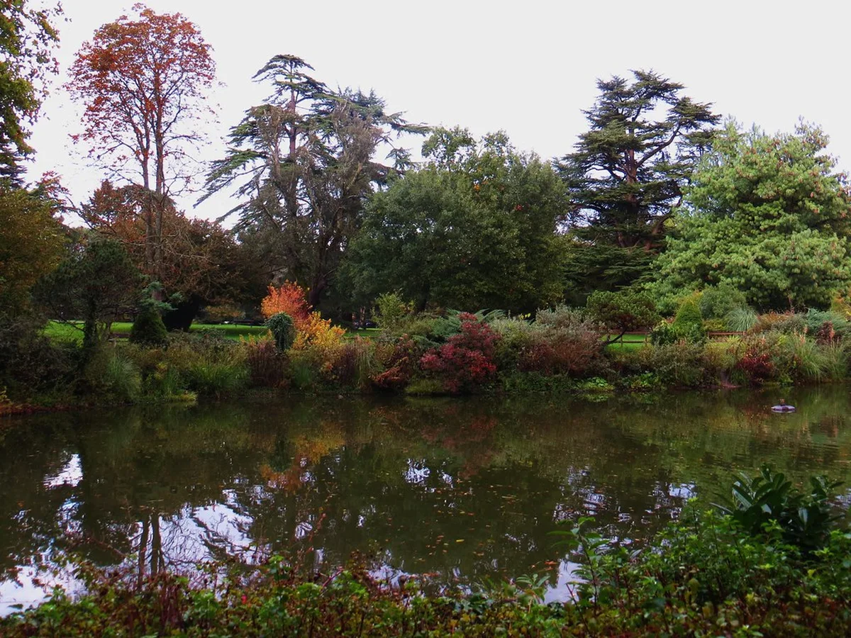 Cognac A Journey Into the Heart of French Spirits in Bordeaux