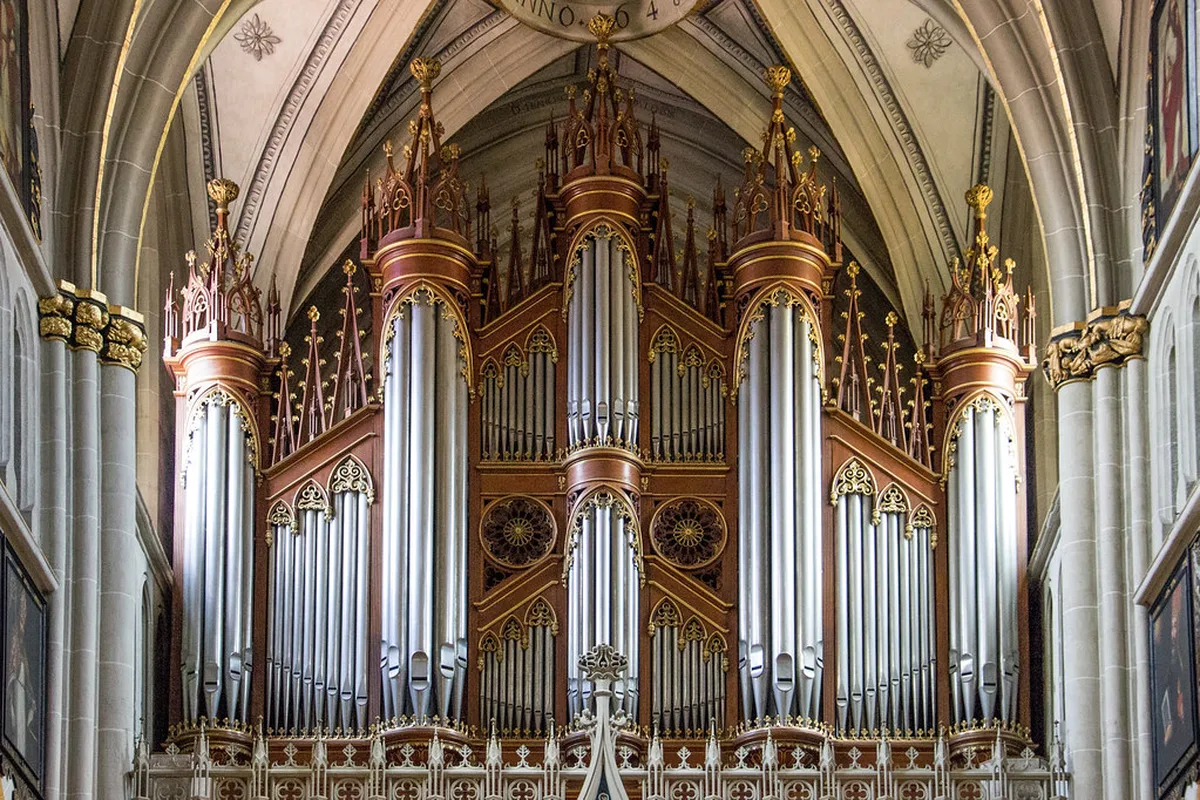 Freiburg im Breisgau A German University City Day Trip in Strasbourg