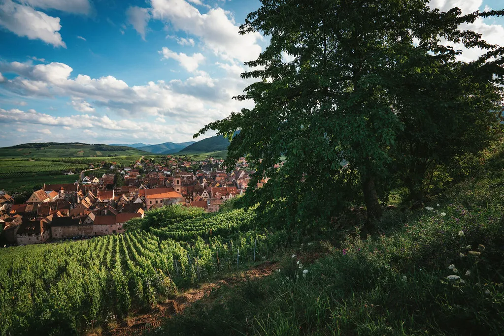 Final Verdict: How to Stay Safe in Alsace’s Fairytale Town in France