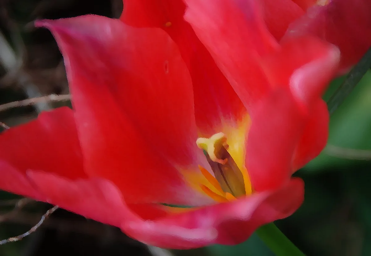 Getting Around Greece Ferries, Flights and Local Transport in greece