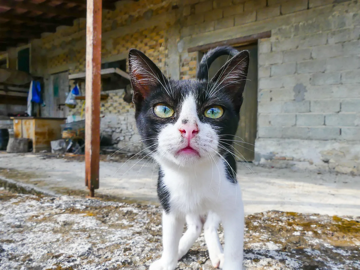 Alykes and Alykanas Family-Friendly Sandy Shores in zakynthos
