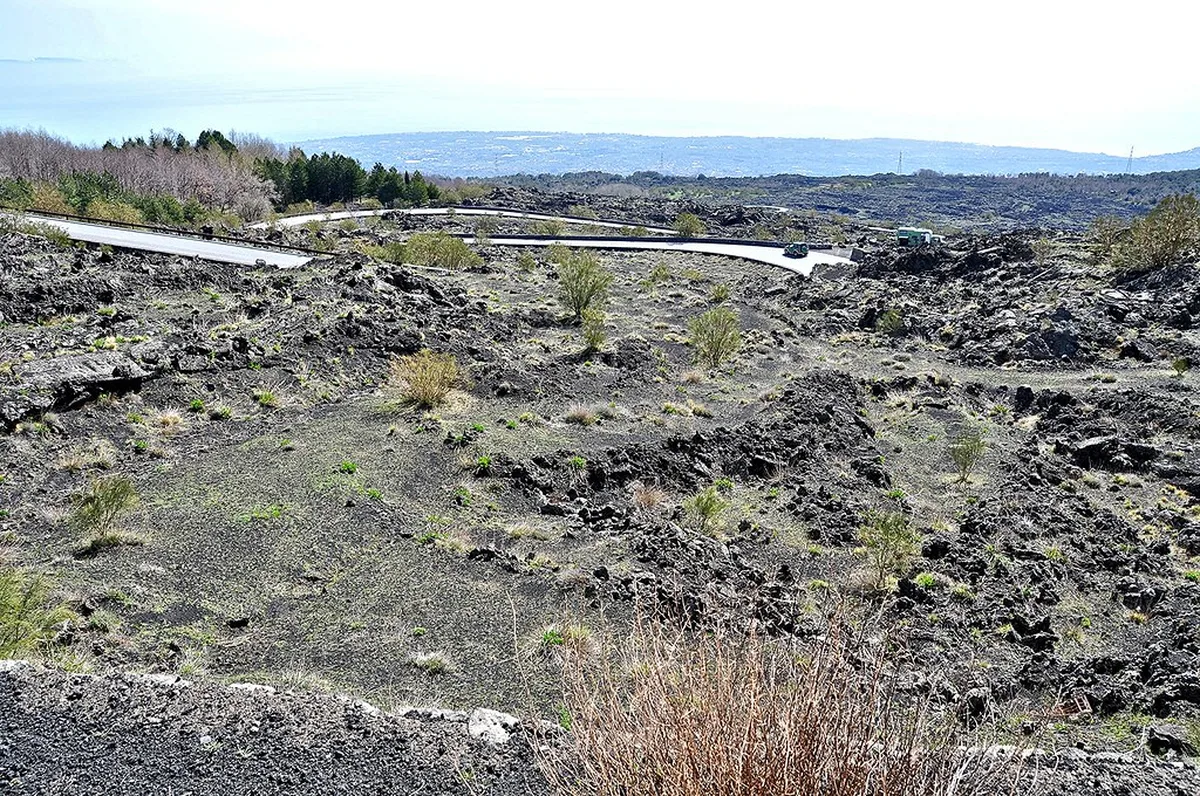 Getting to the Coast from Bologna in Bologna