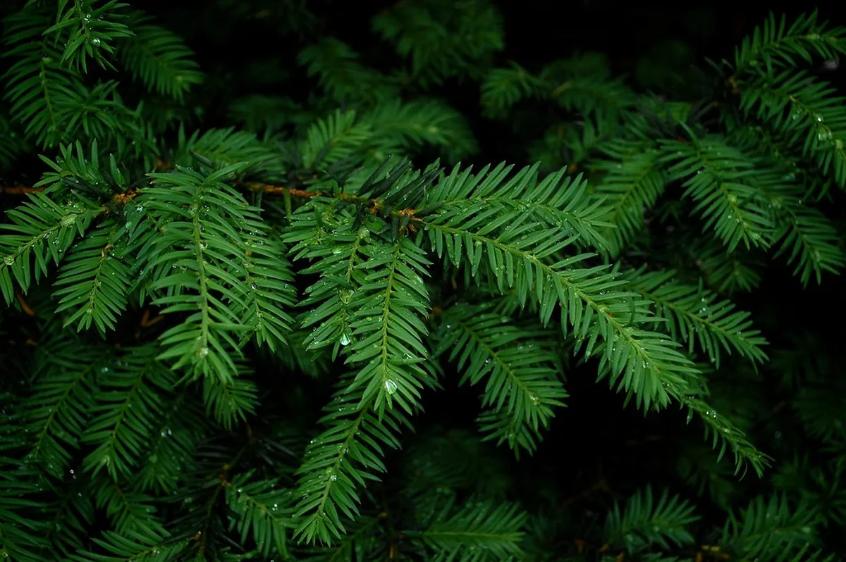 Relaxing in San Pellegrino Terme in Bergamo