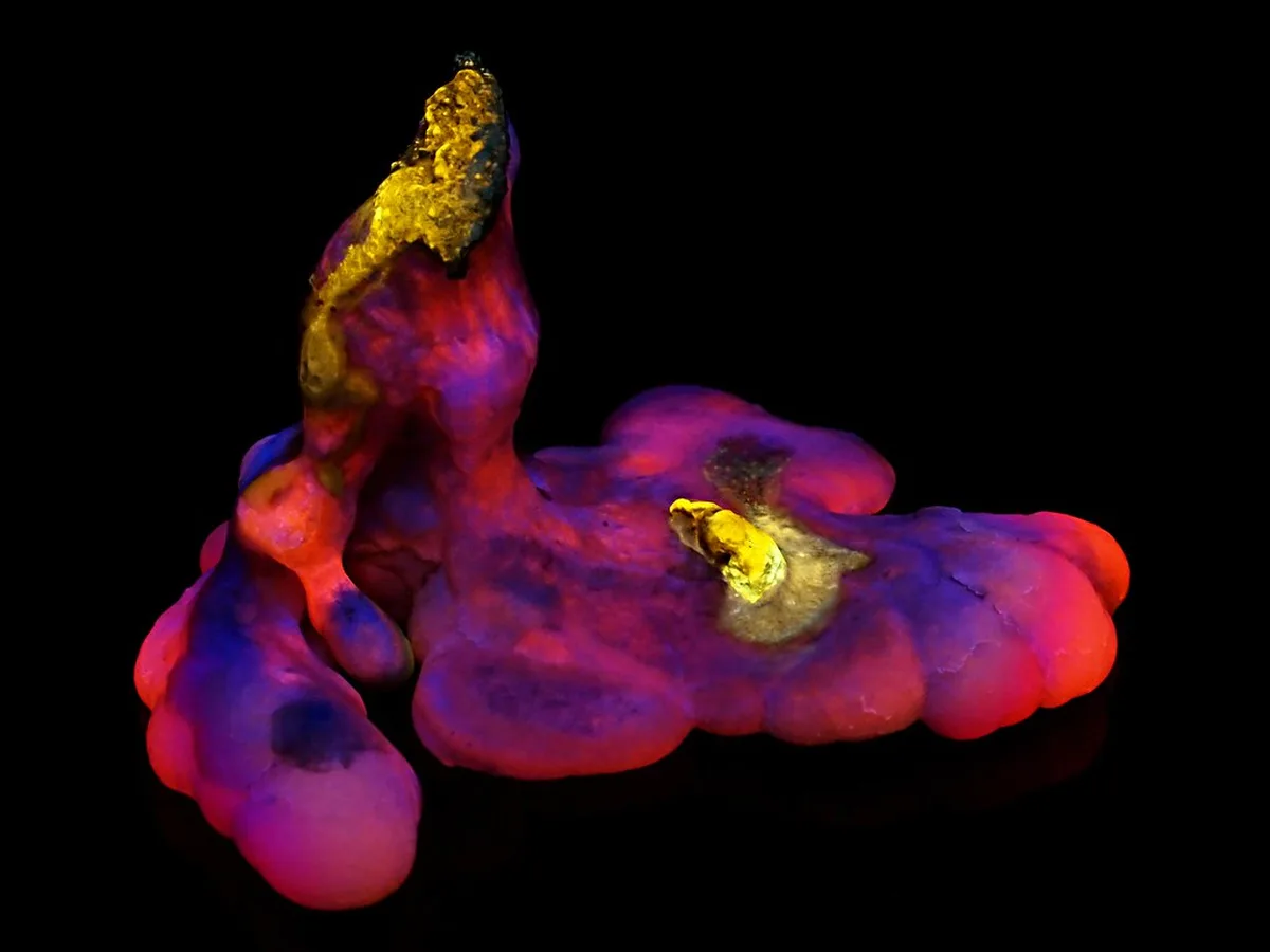 Navigating Bologna Nightlife and Transport Safely in Bologna