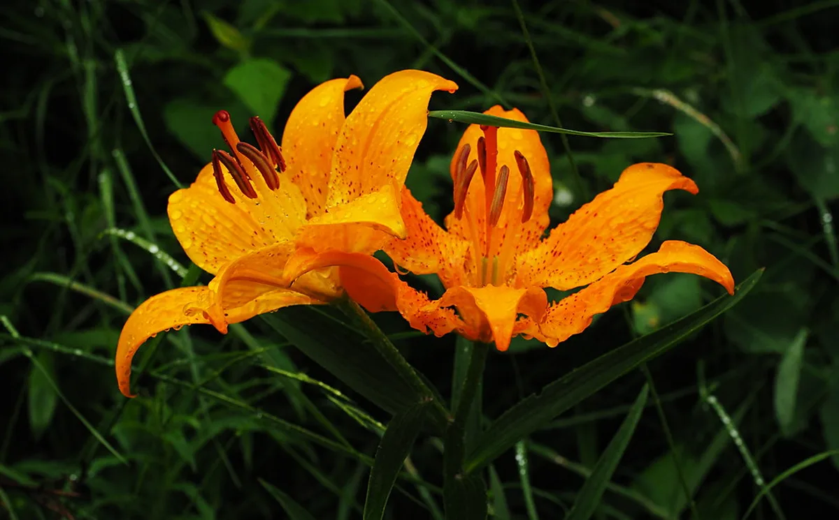 Southern Italy amp Sicily — a visual guide for visitors to italy