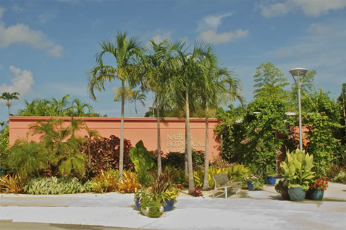 Must-See Stops and Nearby Attractions in Naples