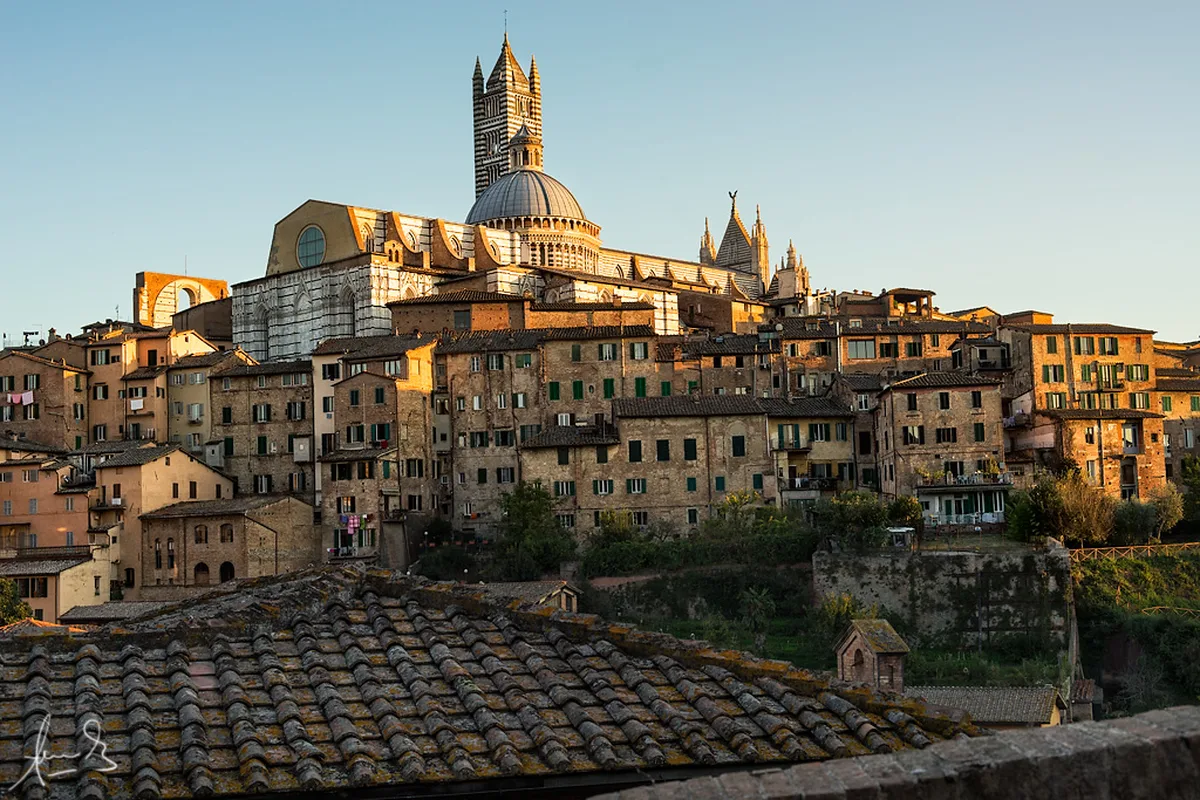 Navigating the Historic Center of Siena in Siena