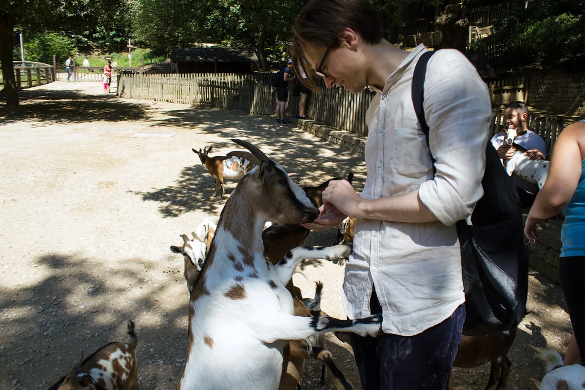 Riding the Funicular vs Walking the Stairs in Verona