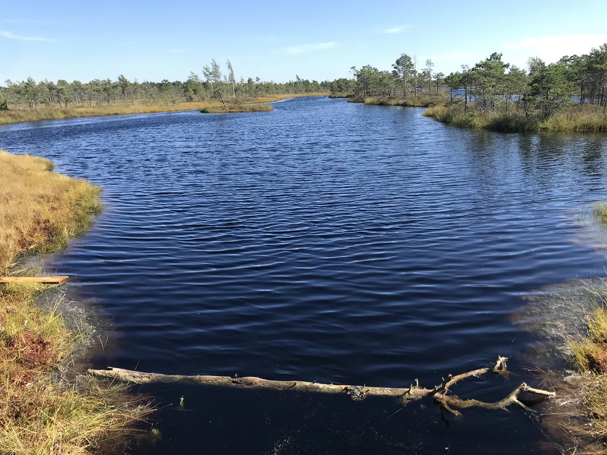 Kemeri National Park The Great Bog Boardwalk in Rīga