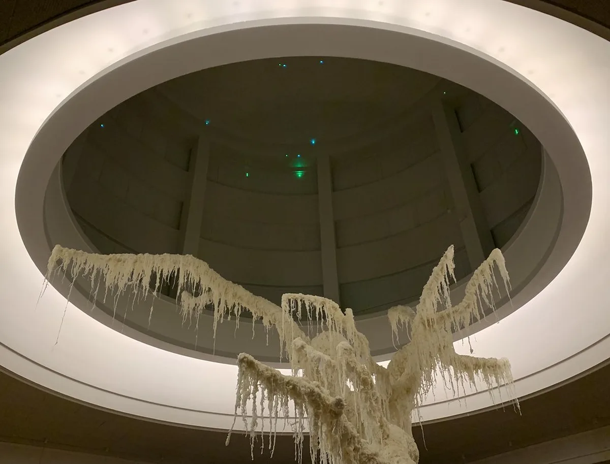 Dancing and Nightclubs in Bergen in Bergen