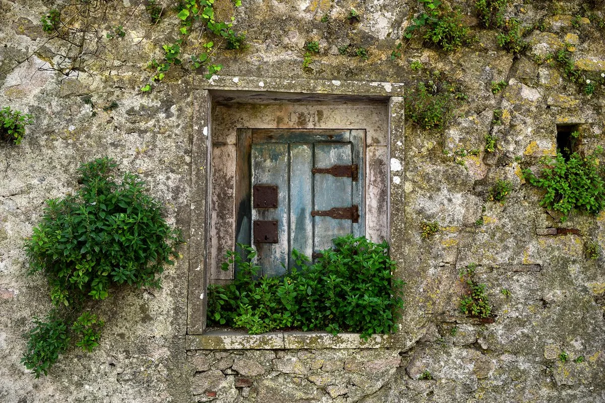 Discovering the Grandeur of Mafra  What Else to Explore in Sintra