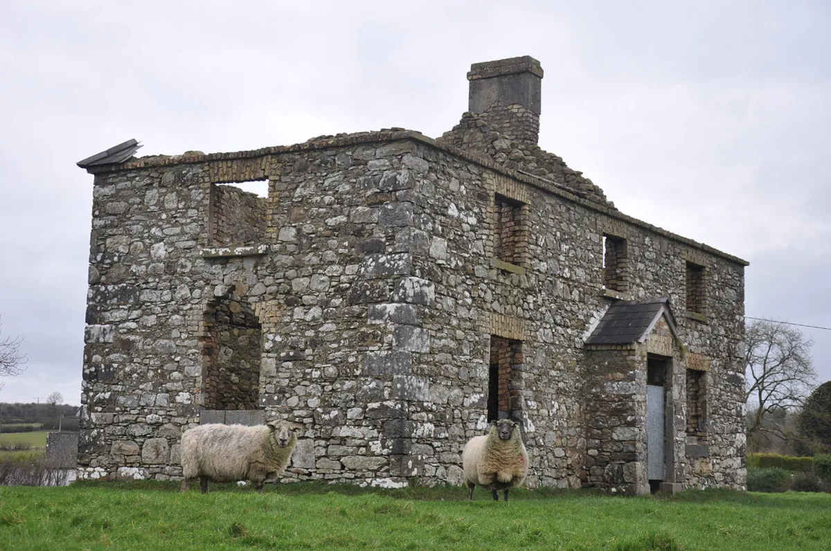 Authentic Tascas and Traditional Portuguese Flavors in Lisbon