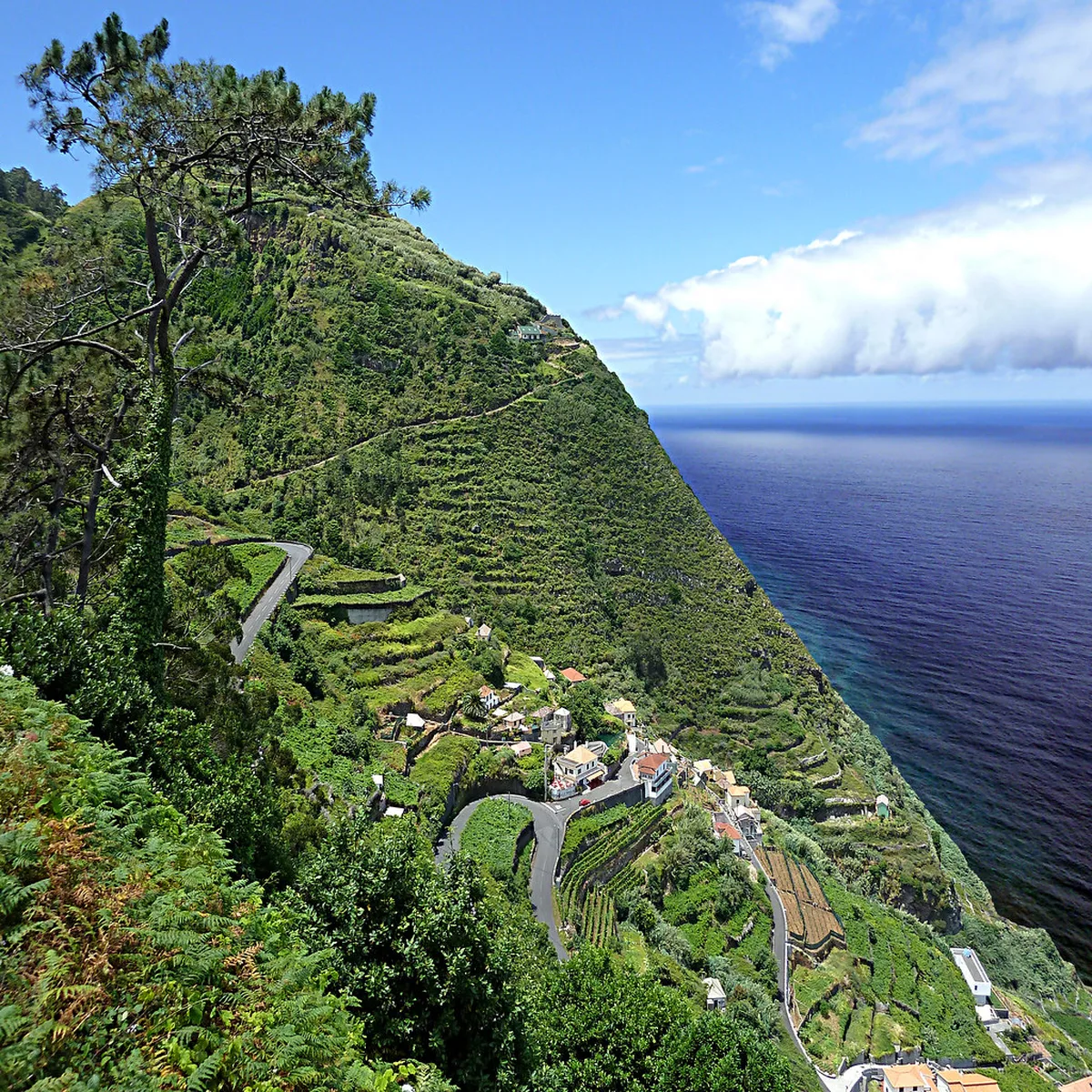 Free Parking Options Near the City in Porto