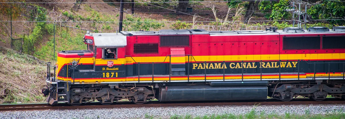 Getting Around Transport and Walkability Compared in Porto