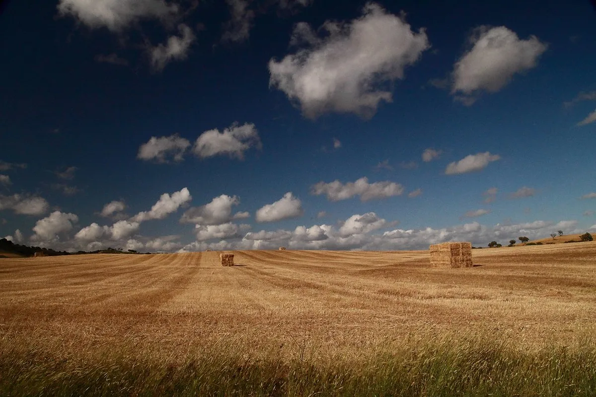 Exploring the Wild Vicentine Coast in portugal