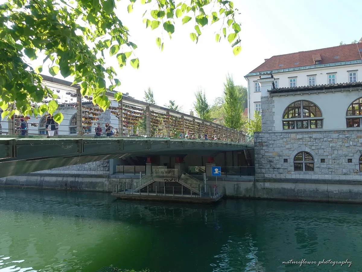 Ljubljana's Vibrant Café Culture Along the Ljubljanica River in ljubljana