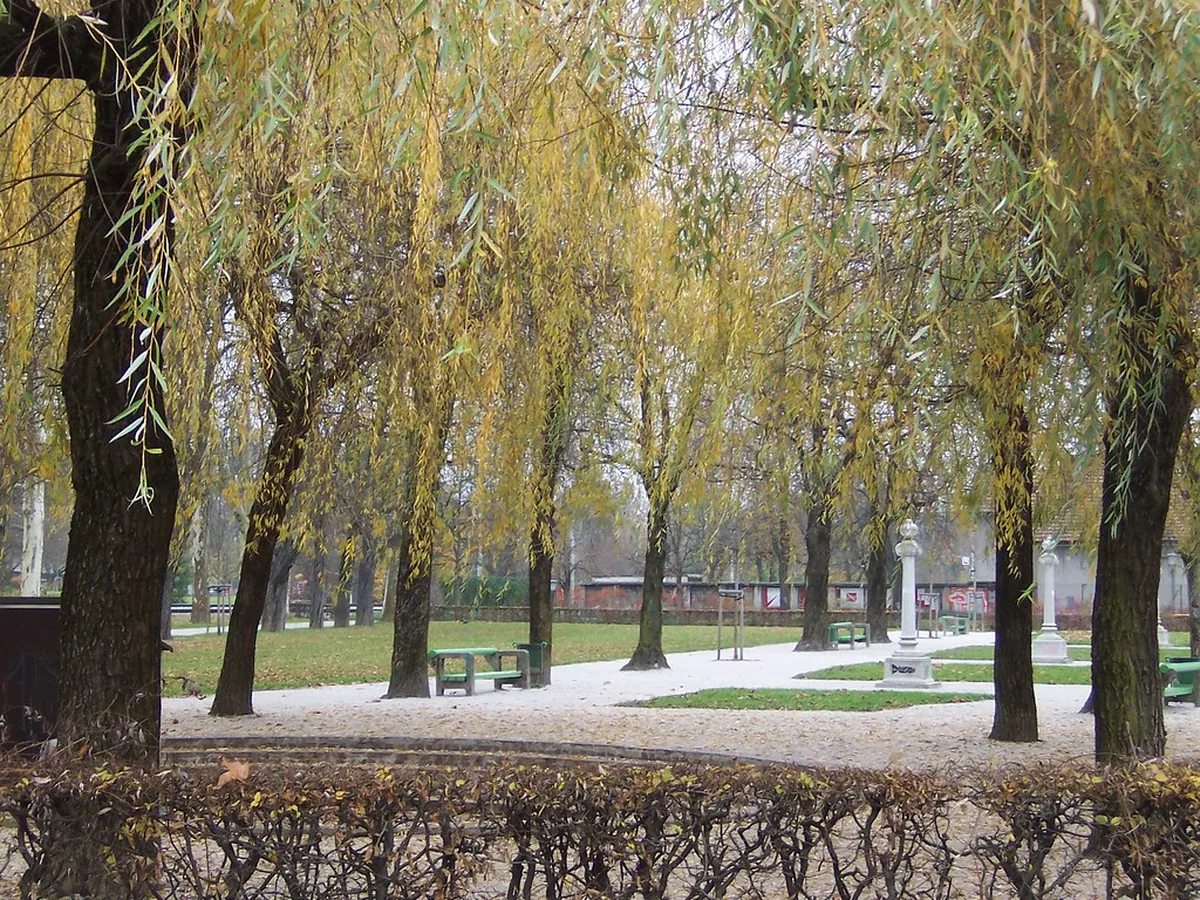 Park and Ride in Ljubljana The Smart Way to Avoid Old Town Parking Stress in ljubljana