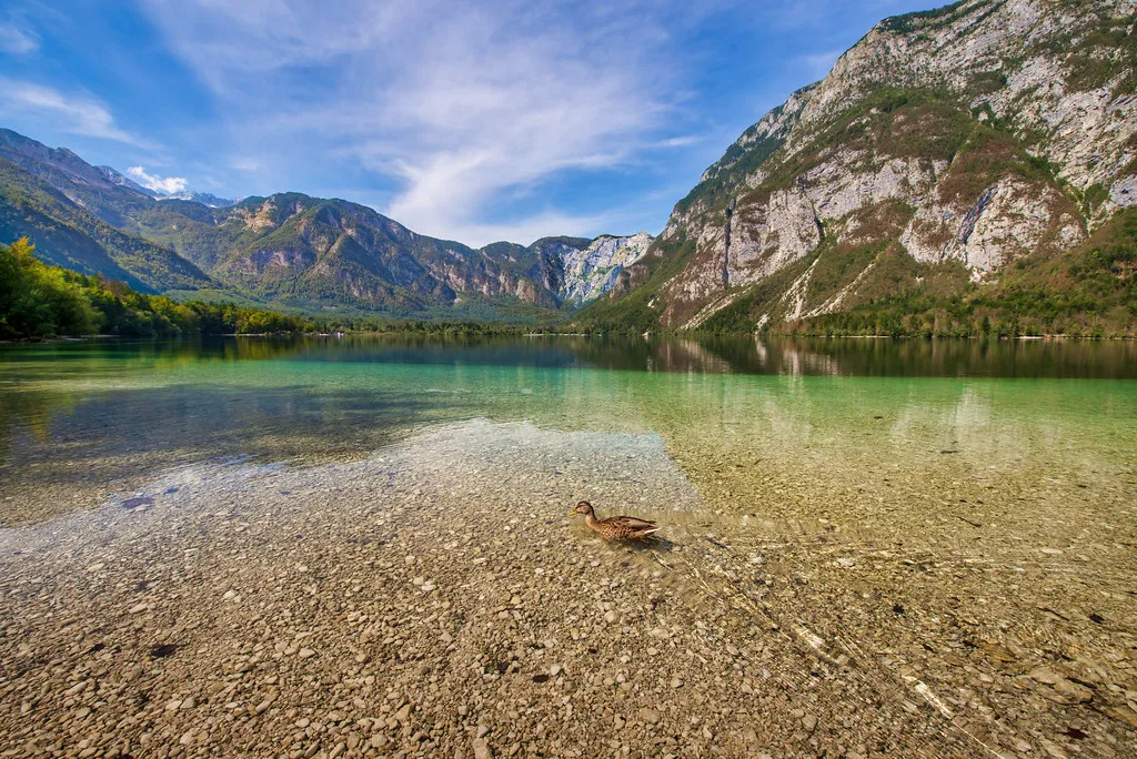Day Trips: Lake Bled & Bohinj in Slovenia