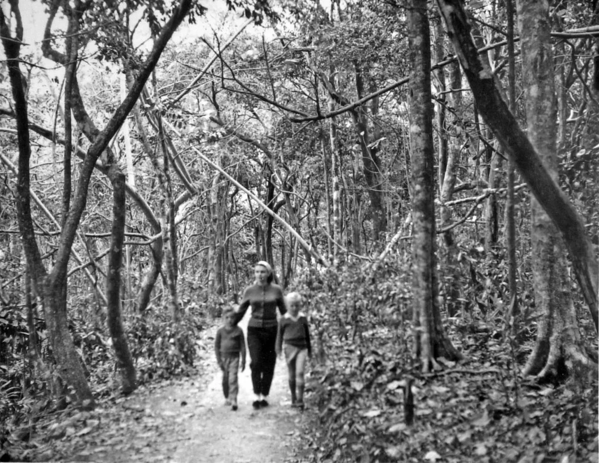 Planning Your Cordoba Walking Tour Route in Córdoba