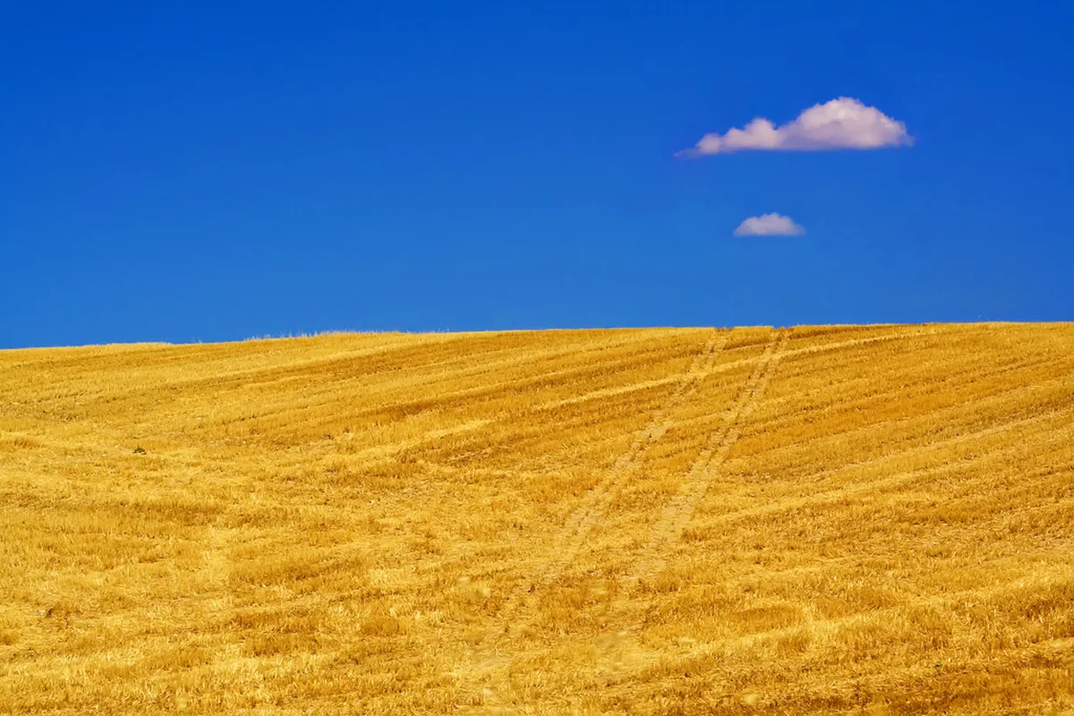 Granada Majestic Views of the Alhambra in Córdoba
