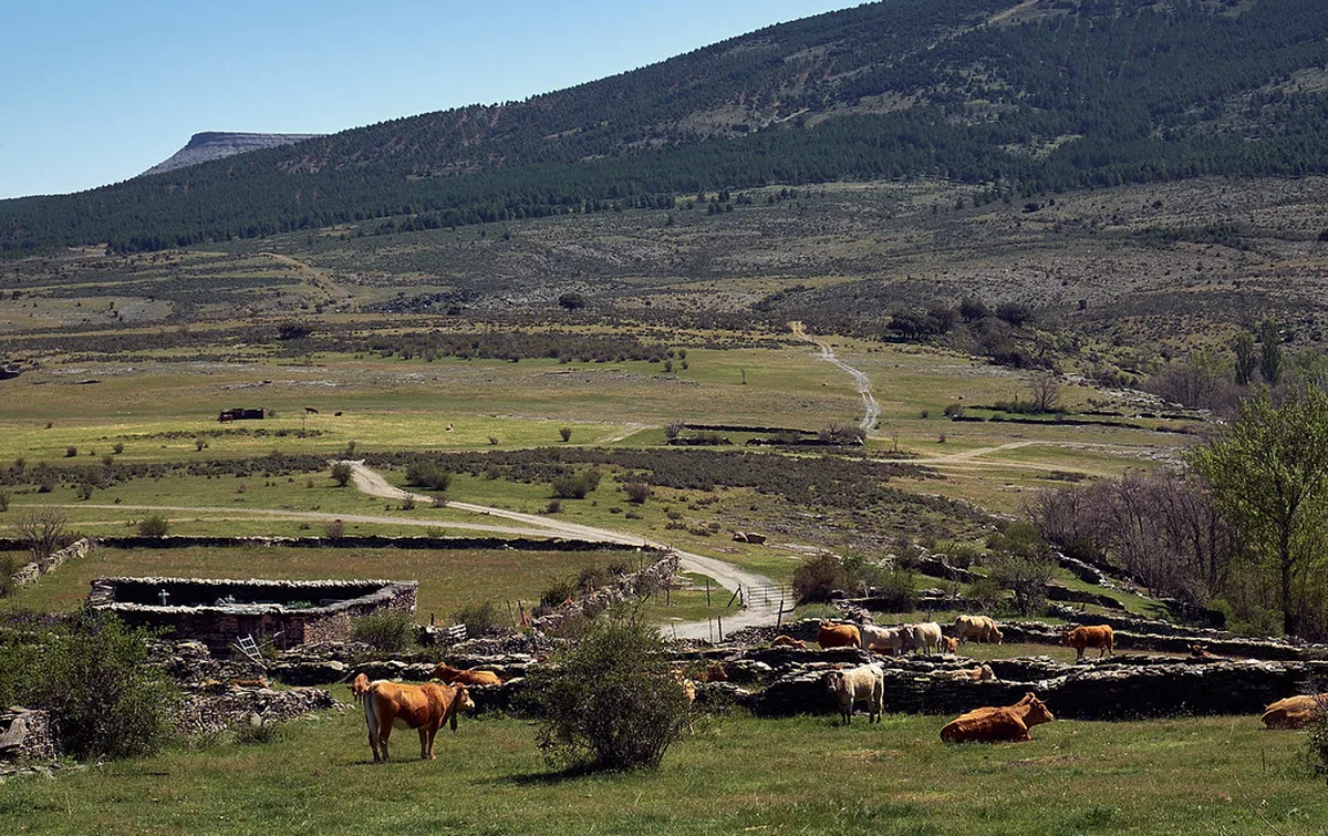 El Escorial Royal Monastery Day Trip from Segovia in Segovia