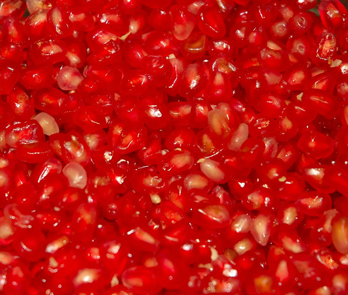 Safe Neighborhoods and Areas to Watch in Granada